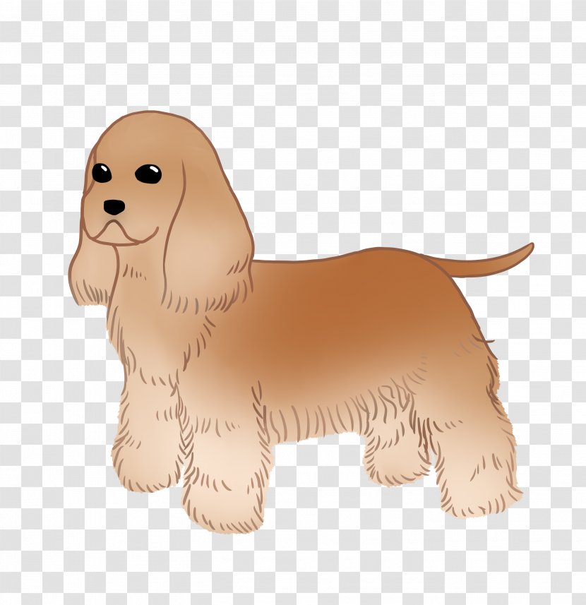 Cockapoo Rare Breed (dog) Puppy Dog Spaniel Transparent PNG