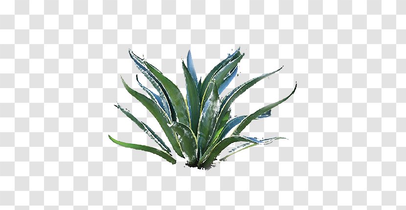 Christo And Jeanne-Claude Writer Agave Art Literature - Flowerpot - Leaf Transparent PNG