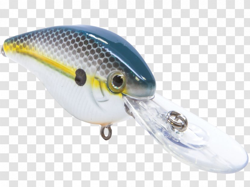 Fishing Baits & Lures - Plug - Topwater Lure Transparent PNG
