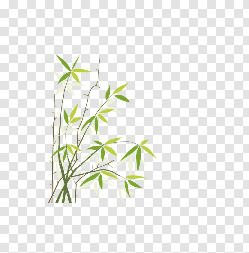 Bamboo Royalty-free Stock Photography Illustration - Grass - Vector Transparent PNG