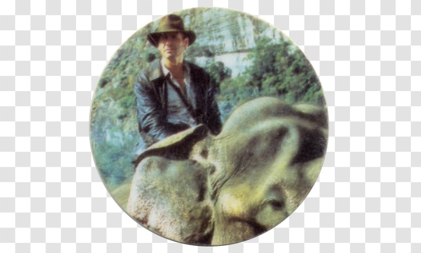 Indiana Jones Adventure Film Producer - George Lucas - Elephant Ride Transparent PNG