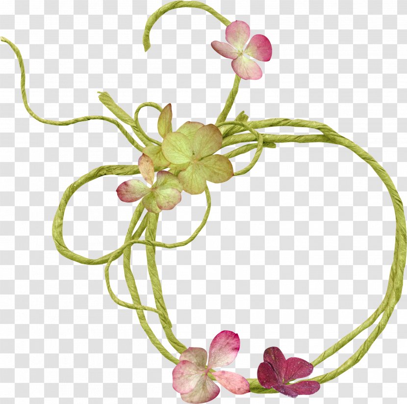 Picture Frames Floral Design Photography Clip Art - Body Jewelry - Decorative Plants Transparent PNG