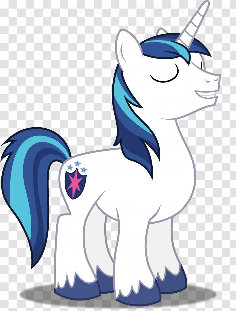 Princess Cadance Shining Armor Pony Twilight Sparkle Rainbow Dash - Winged Unicorn - Vector Transparent PNG