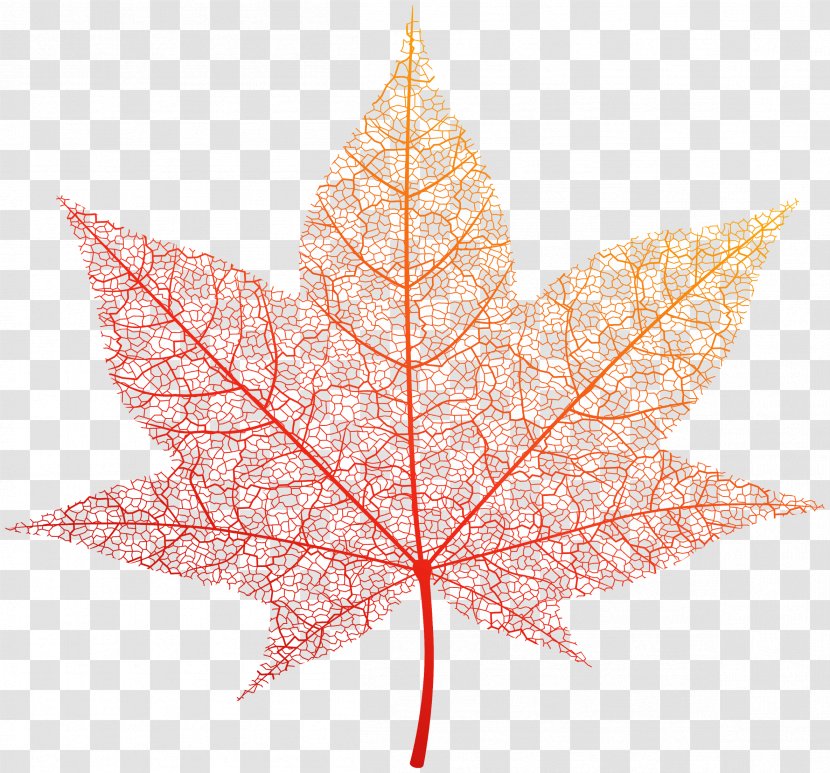 Clip Art Image Autumn Leaf Color - Tree - Golden Leaves Mothers Day Maple Transparent PNG