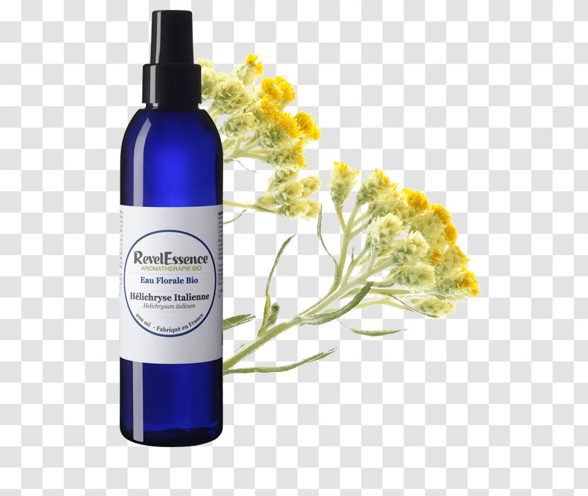 Herbal Distillate Lotion Curry Plant Aromatherapy Witch-hazel - Facial Care - Helichrysum Transparent PNG