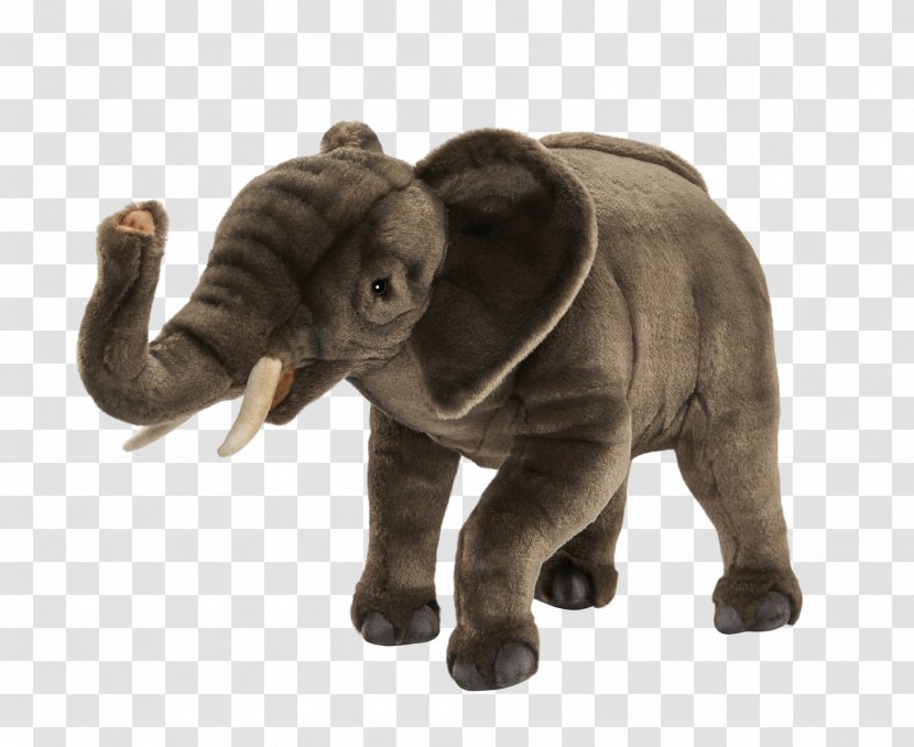 African Elephant Stuffed Animals & Cuddly Toys Hansa - Leporids Transparent PNG