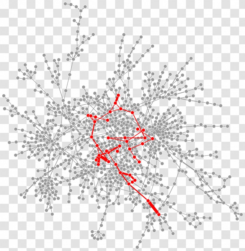 Organism Macrophage Polarization Metabolism Cell Signaling - Tree - Pathway Transparent PNG