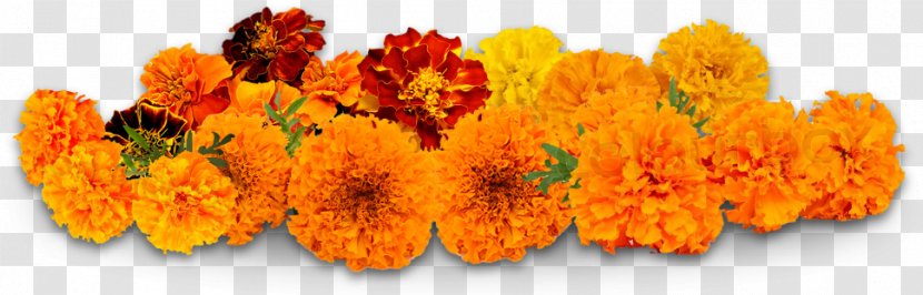 Flower Delivery Puja Petal Marigold - Orange Transparent PNG