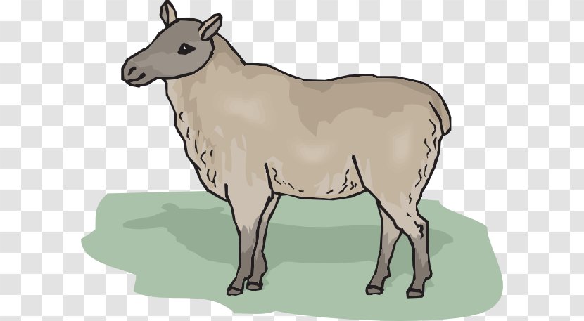 Cheviot Sheep Clip Art - Cattle Like Mammal - Cartoon Ewe Transparent PNG