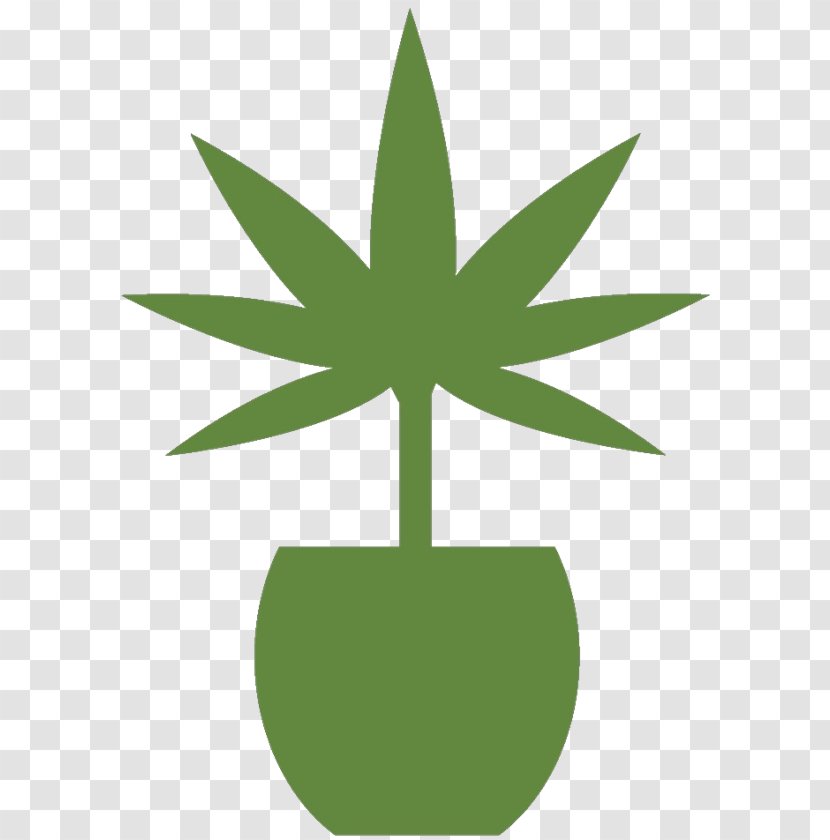 Medical Cannabis La Marijuana Medicine Clip Art - Typography Transparent PNG