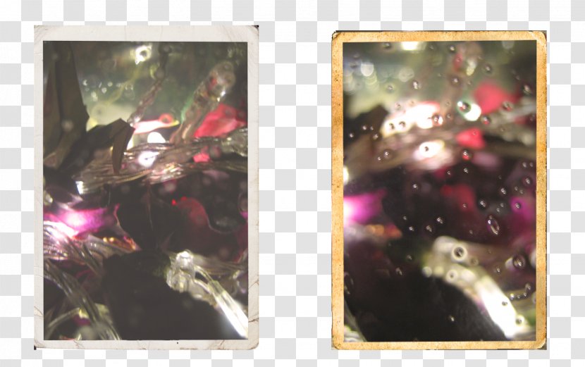 Fairy Work Of Art Painting Picture Frames Potpourri - Lights Transparent PNG