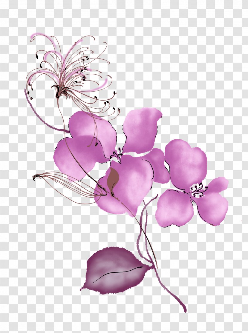 Download - Orchids - Purple Painted Flowers Border Background Transparent PNG