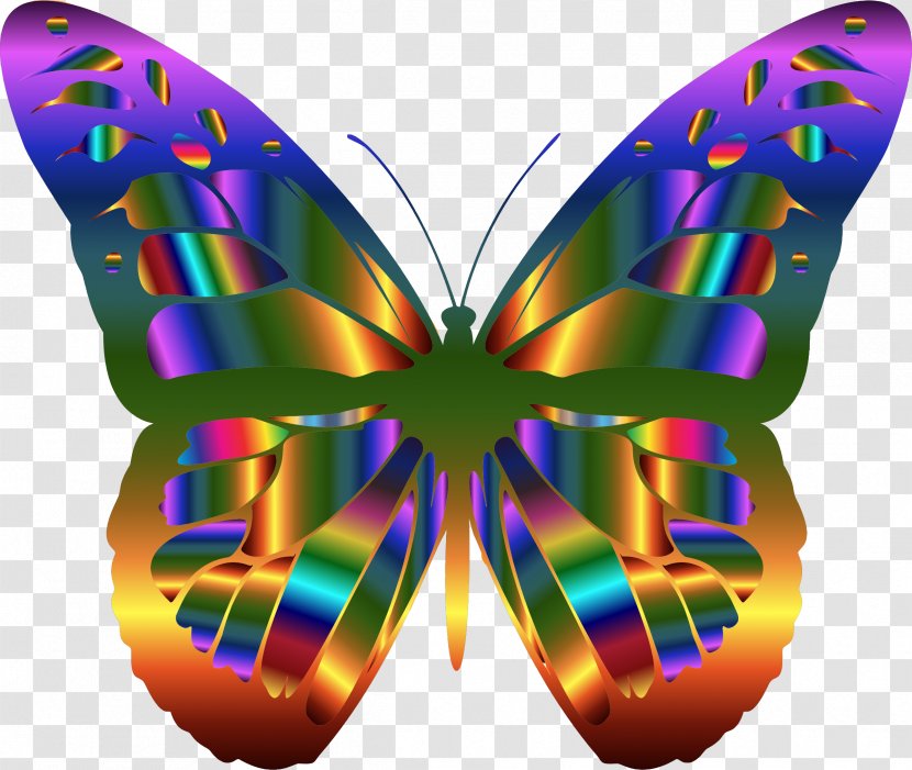Monarch Butterfly Clip Art - Insect - Buterfly Transparent PNG