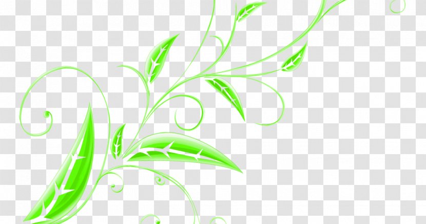 Clip Art Leaf Flower Floral Design - Lily Of The Field Background Transparent PNG
