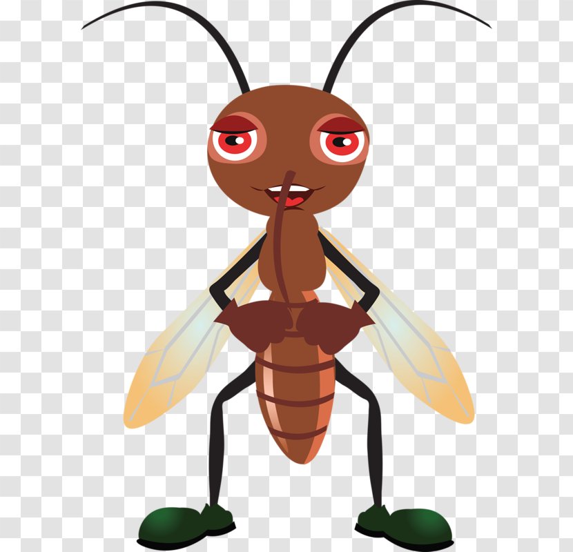 Insect Mosquito Flashcard Learning Vocabulary - Memory - A Cockroach Transparent PNG