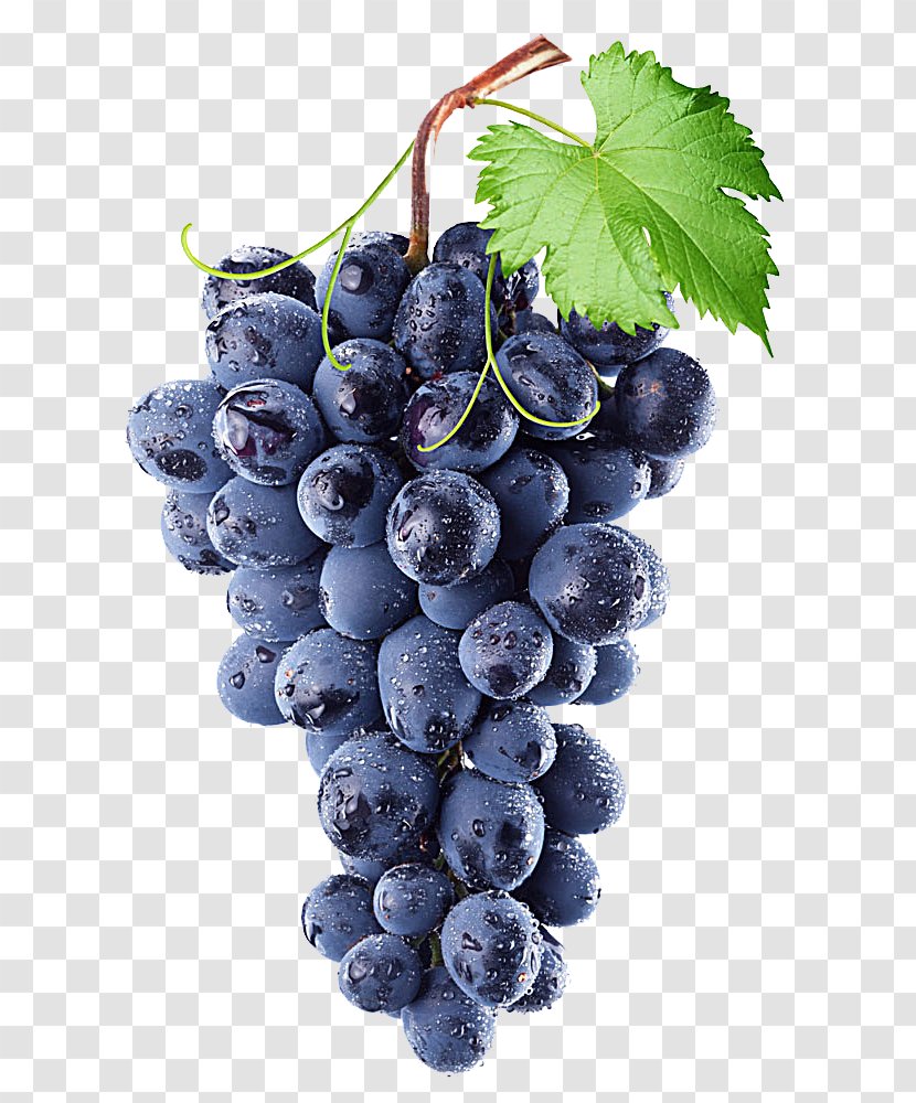 Common Grape Vine Wine Isabella Concord - Bilberry - Purple Transparent PNG
