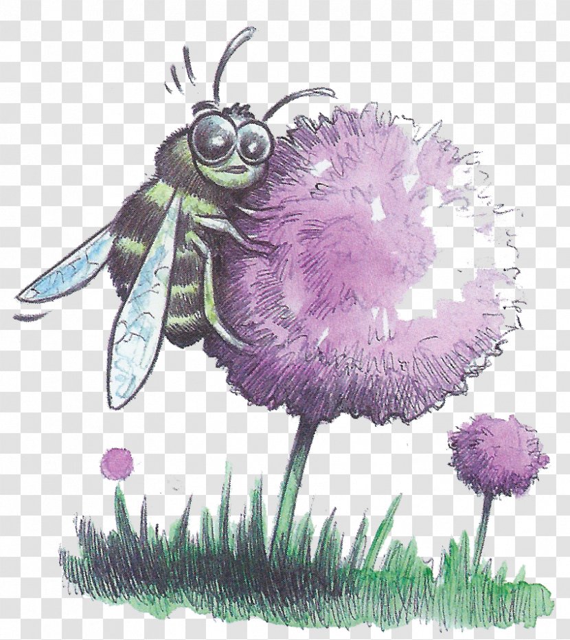 Honey Bee Butterfly Illustration Flower - Pollinator Transparent PNG