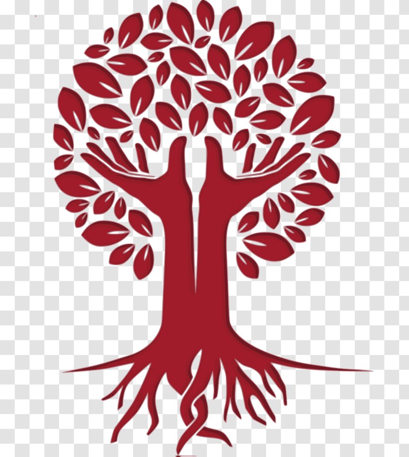 Apd Advanced Perfusion Diagnostics Tree Vector Graphics Logo Hand - Watercolor Transparent PNG