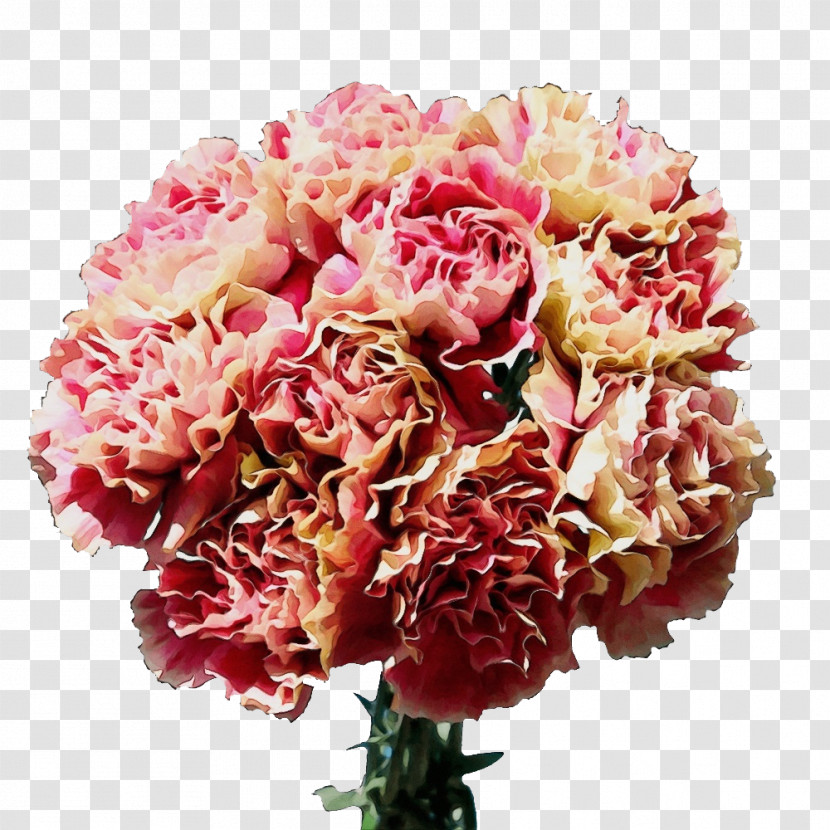 Garden Roses Transparent PNG