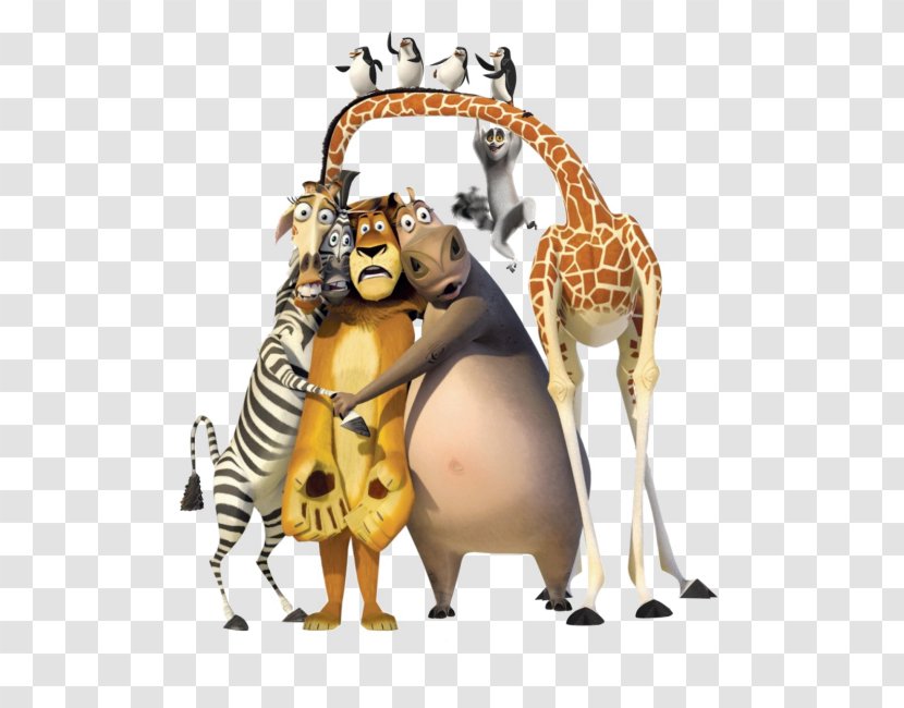 Madagascar Julien Character Moto Film - Terrestrial Animal - Subdivisions Of Transparent PNG