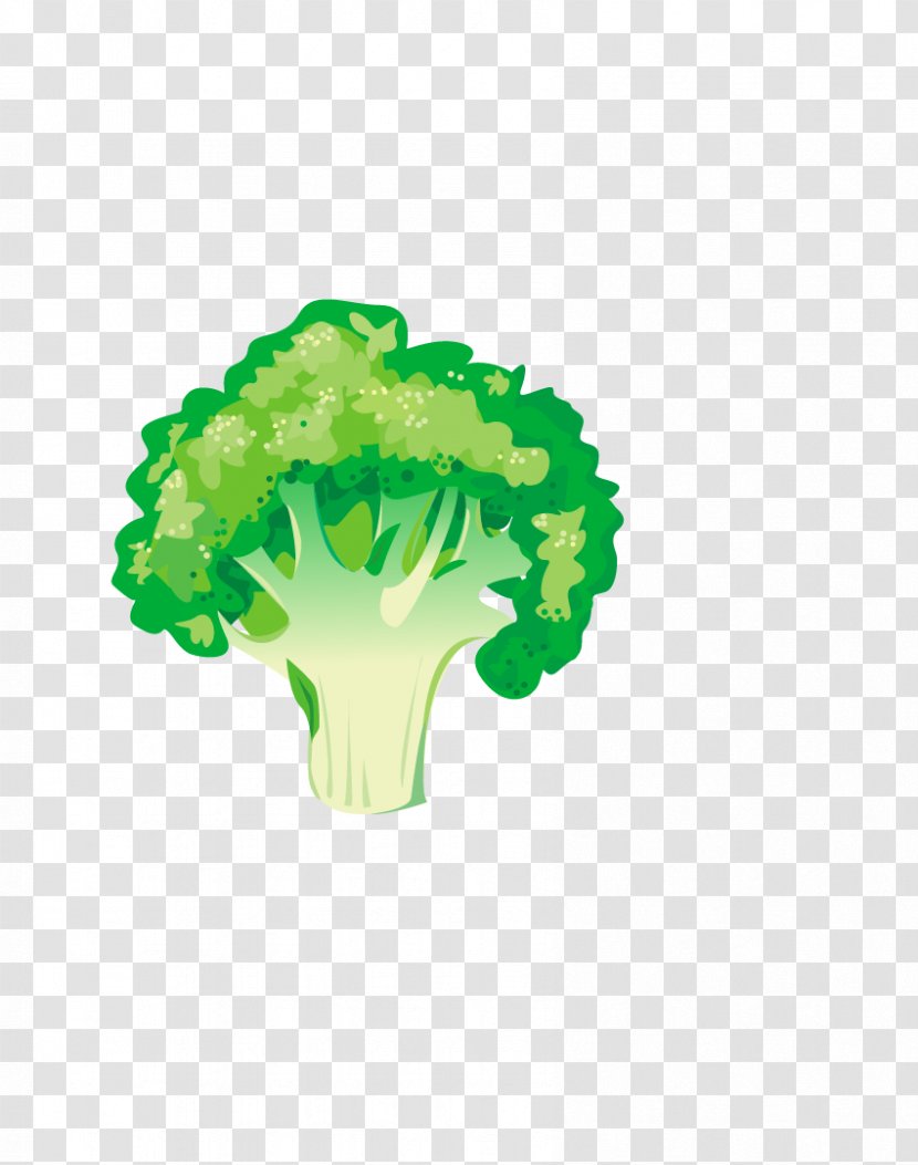 Broccoli Leaf Vegetable Asparagus Food - Cartoon - Organic Cauliflower Transparent PNG