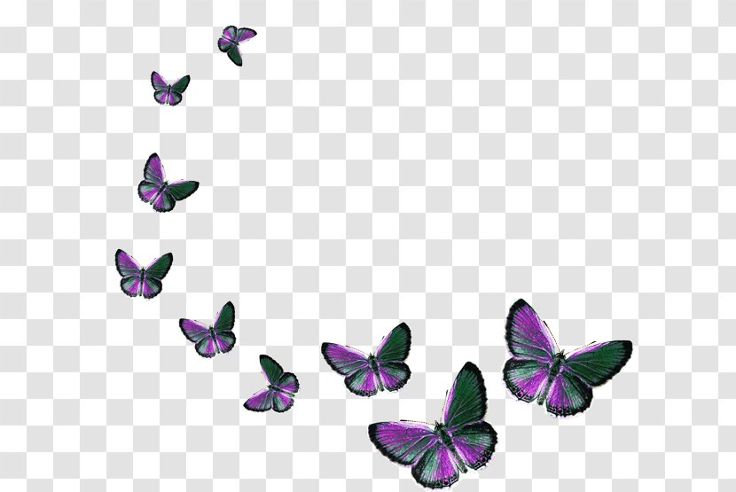Butterfly Clip Art - Purple Transparent PNG