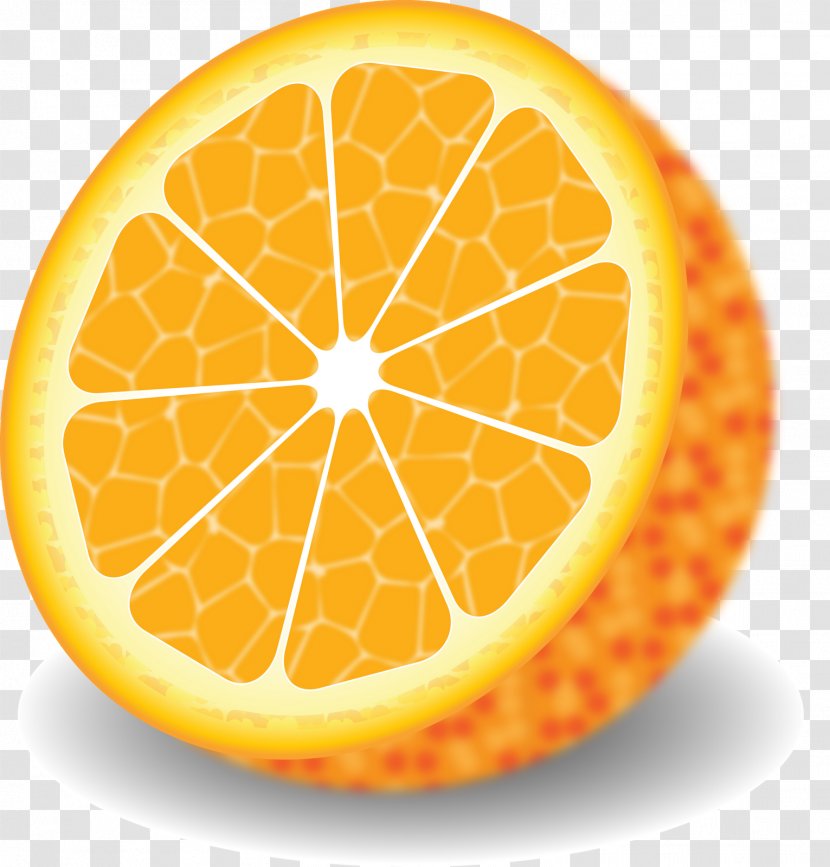 Drawing Orange - Food Transparent PNG