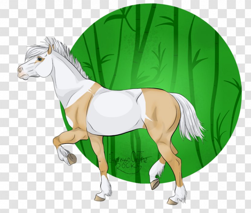 Foal Stallion Mane Mare Mustang Transparent PNG