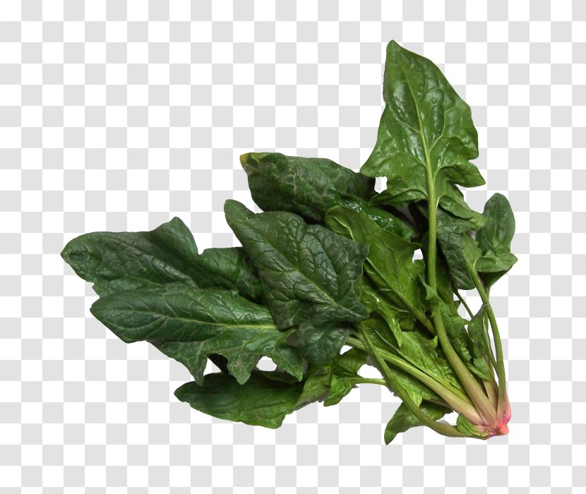 Spinach Salad Vegetable Chard - Spinacia Transparent PNG