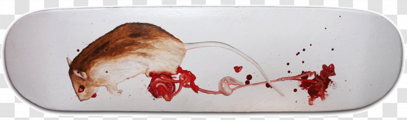 Roadkill Triptych Columbidae Brown Rat Death Transparent PNG