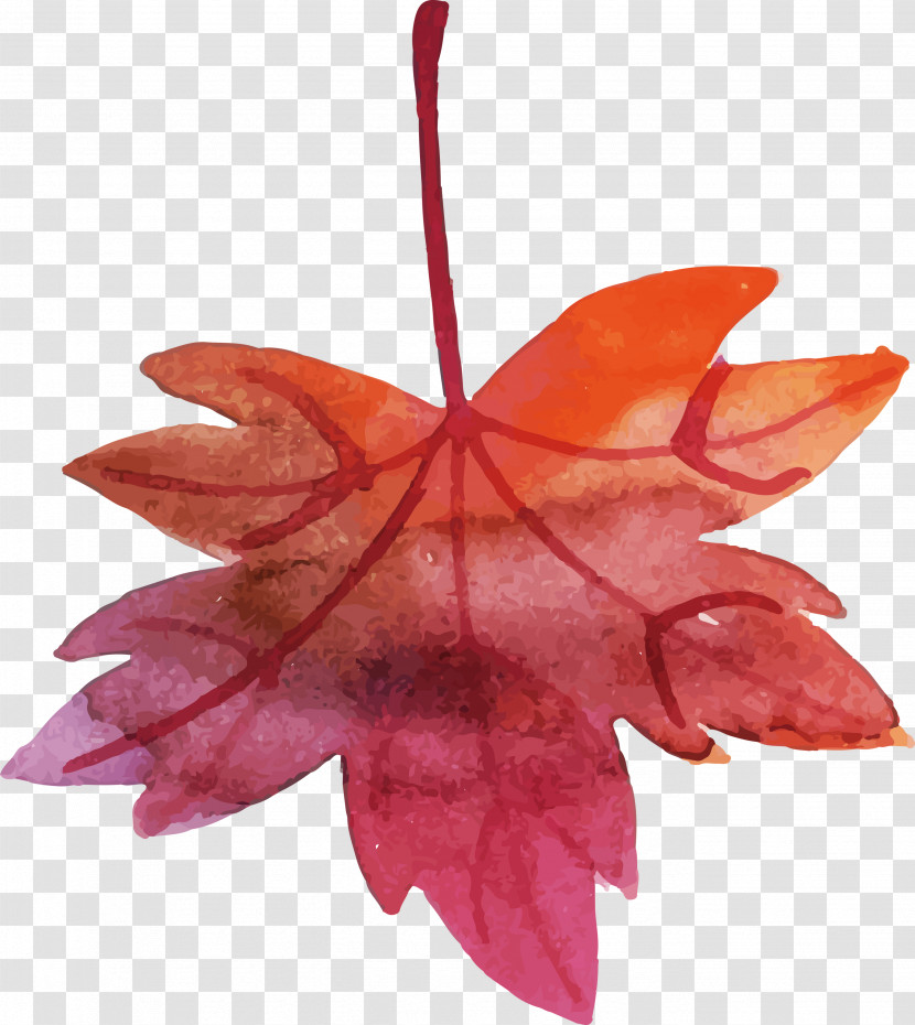 Maple Leaf Transparent PNG