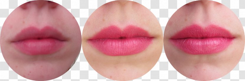 Lip Gloss Lipstick Eyelash Beauty.m - Tongue - Little Monkey Transparent PNG