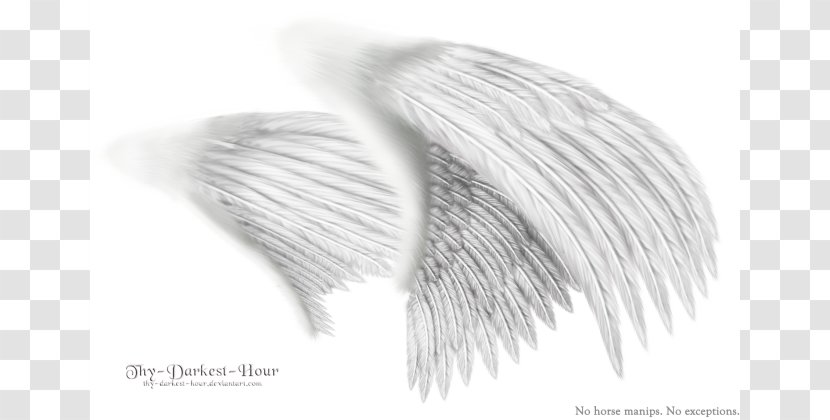 Black And White Angel Wing Monochrome Drawing - Design Transparent PNG