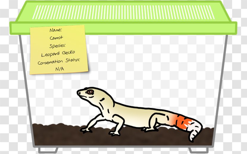 Reptile Animal Carnivora Clip Art - Grass - Leopard Gecko Transparent PNG