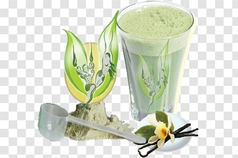 Health Shake Milkshake Veggie Burger Veganism Vegetarianism - Champagne Glass Transparent PNG