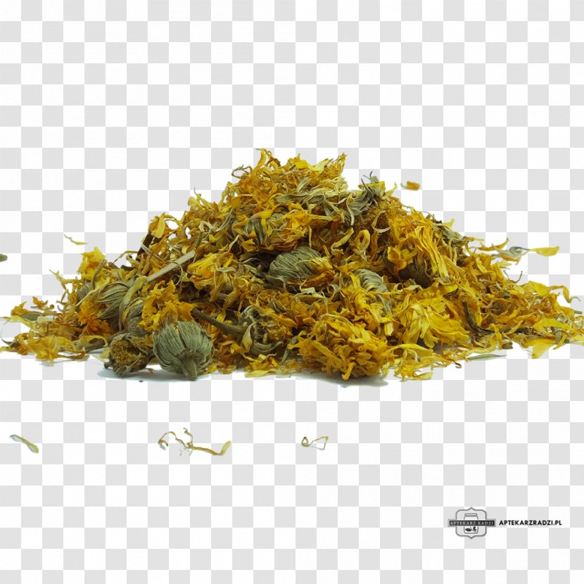 Tea Calendula Officinalis Herbalism Therapy - Marigold Transparent PNG