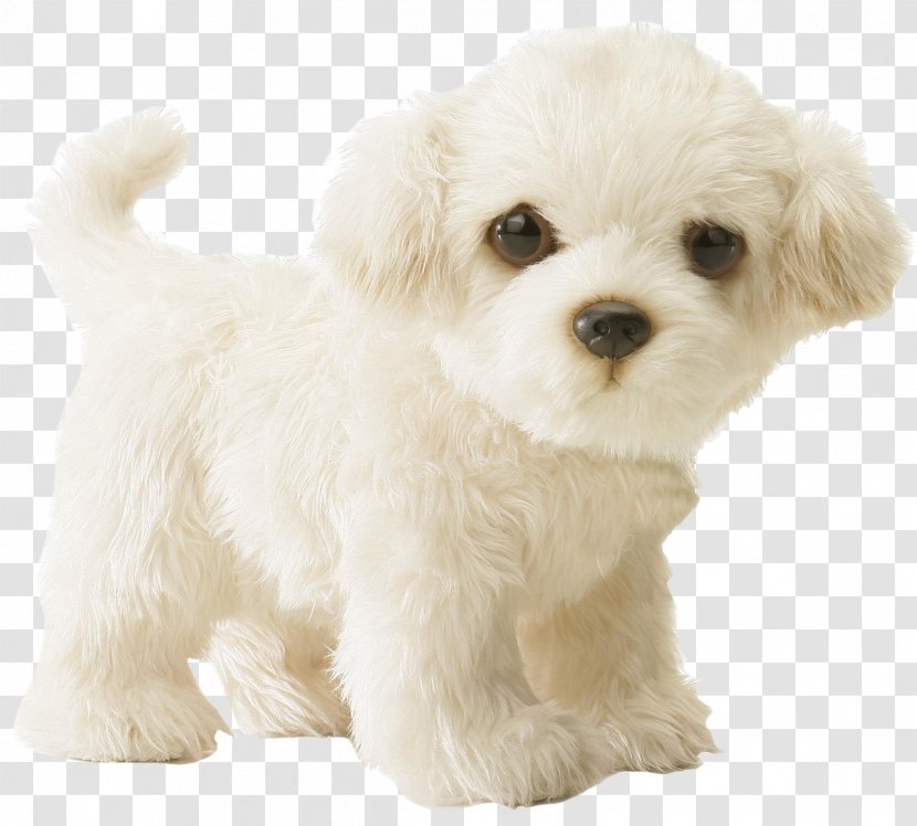 stuffed maltese dog
