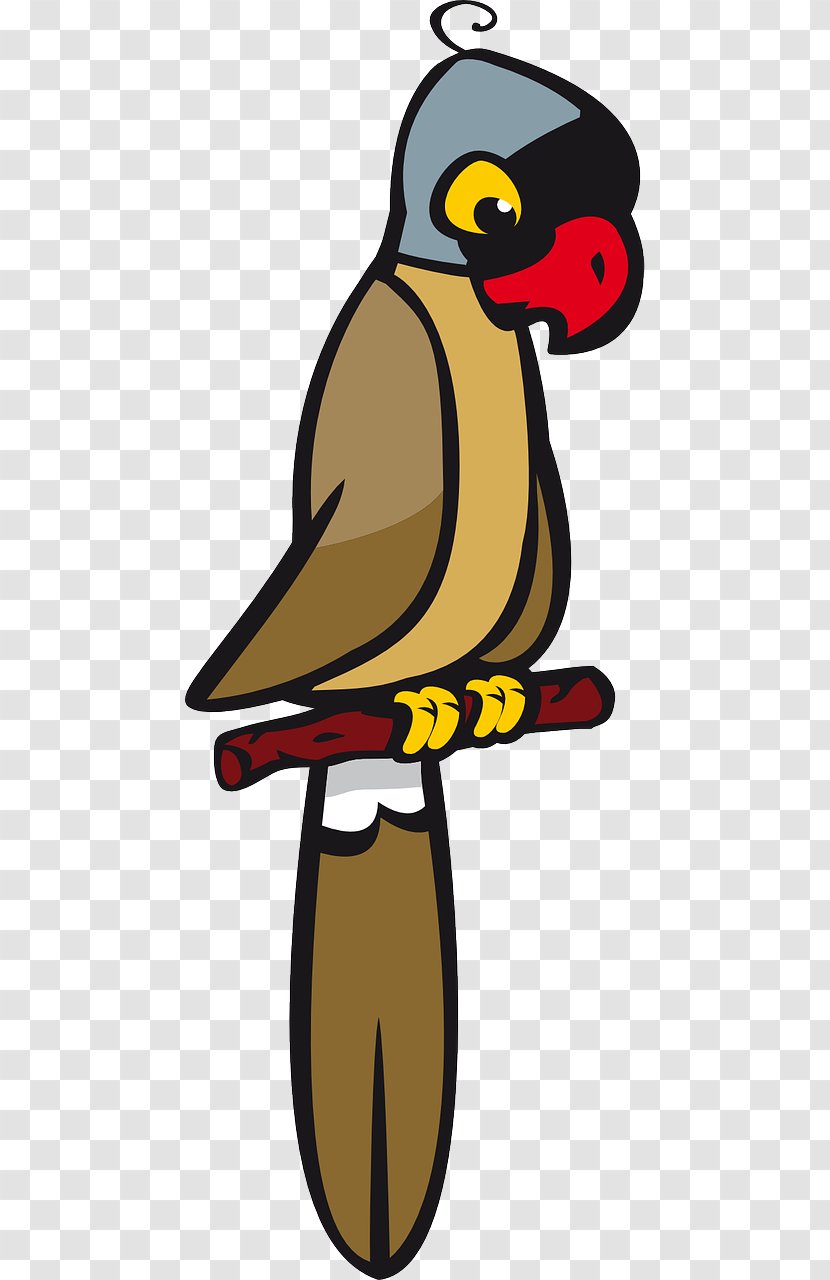 Parrot Bird Cartoon Clip Art - Beak Transparent PNG