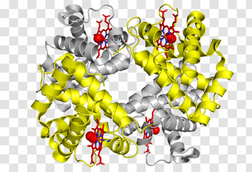 Hemoglobin Protein Blood Substitute Food And Drug Administration Center For Biologics Evaluation Research - Text Transparent PNG