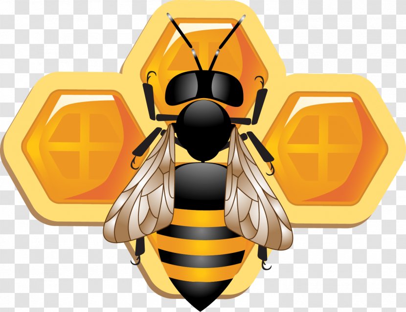 Bee Insect Honeycomb Adobe Illustrator - Nectar Transparent PNG