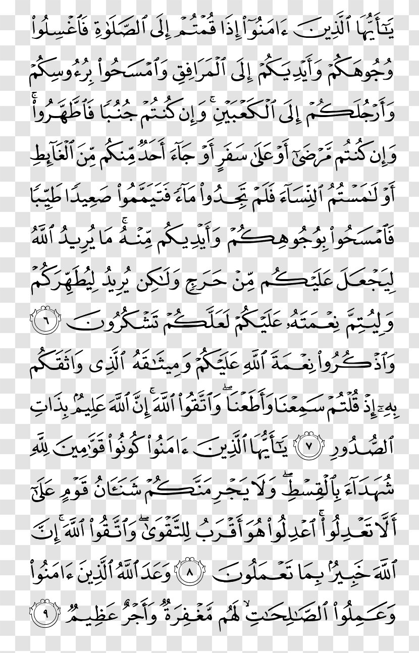 Quran Surah Al-Ma'ida Islam Al-Baqara - Flower Transparent PNG