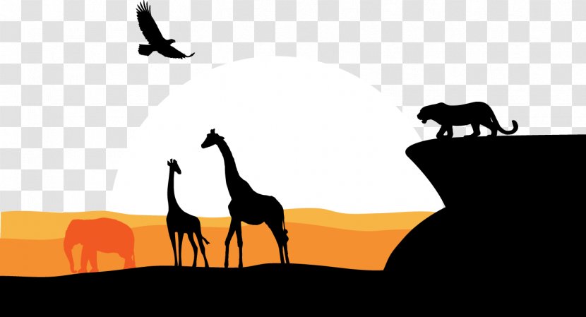 South Africa Graphic Design - African Cheetah Giraffe Eagle Grassland Vision Transparent PNG