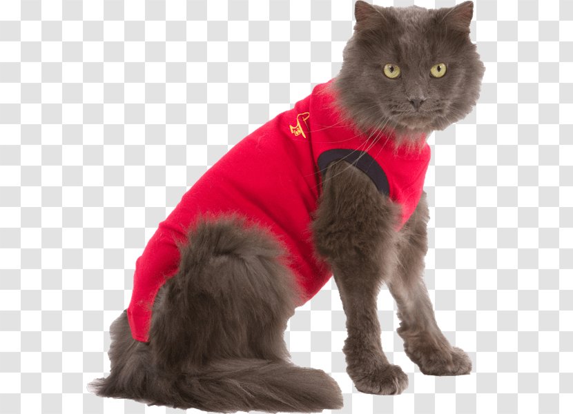 Cat Dog Kitten T-shirt Pet - Cap - Dry Transparent PNG