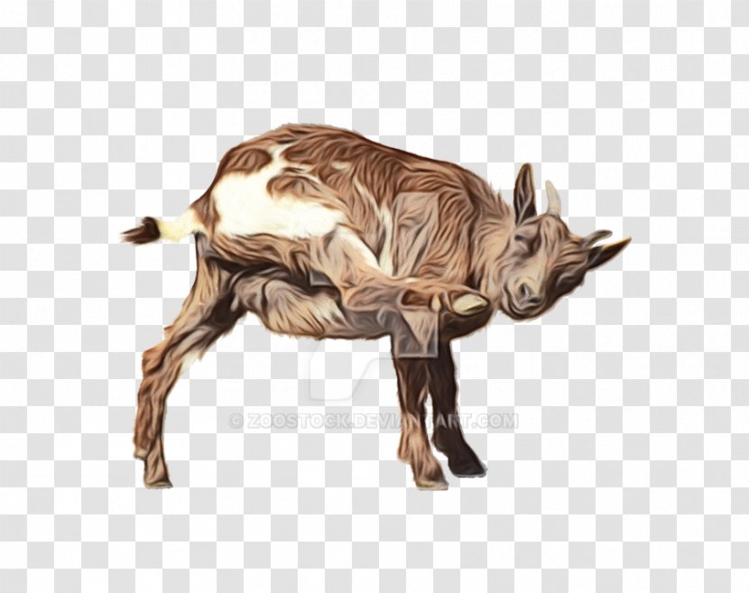 Boer Goat Horn Image Transparency - Pack Animal - Deviantart Transparent PNG