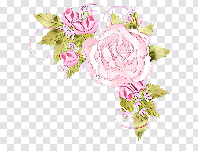 Garden Roses Cabbage Rose Floral Design Cut Flowers Transparent PNG