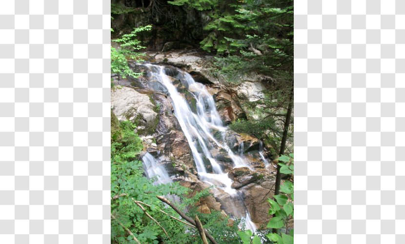 Waterfall Vegetation Water Resources Old-growth Forest Watercourse - Hill Station - Mountain Waterfalls Transparent PNG