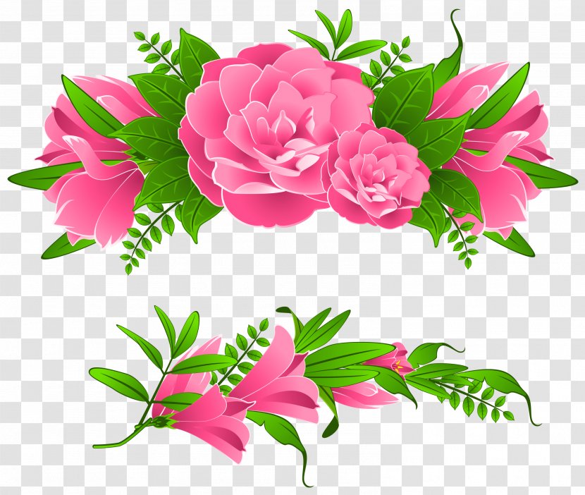 Garden Roses Centifolia Pink Flowers - Cut - Borders Free Image Transparent PNG