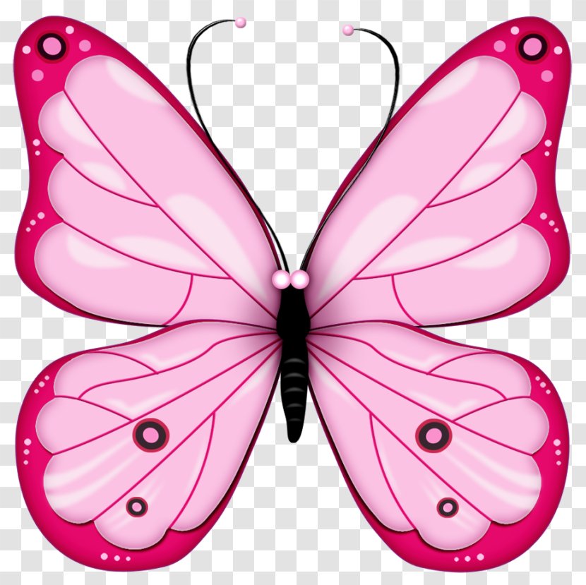 Butterfly Transparency And Translucency Clip Art - Blog - Free Cliparts Butterflies Transparent PNG