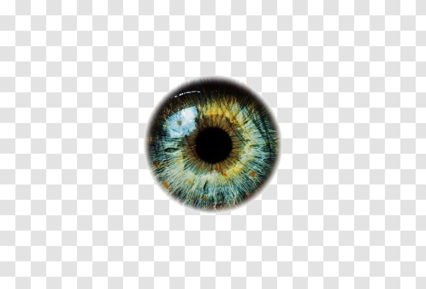 Human Eye - Watercolor - Eyeballs Transparent PNG