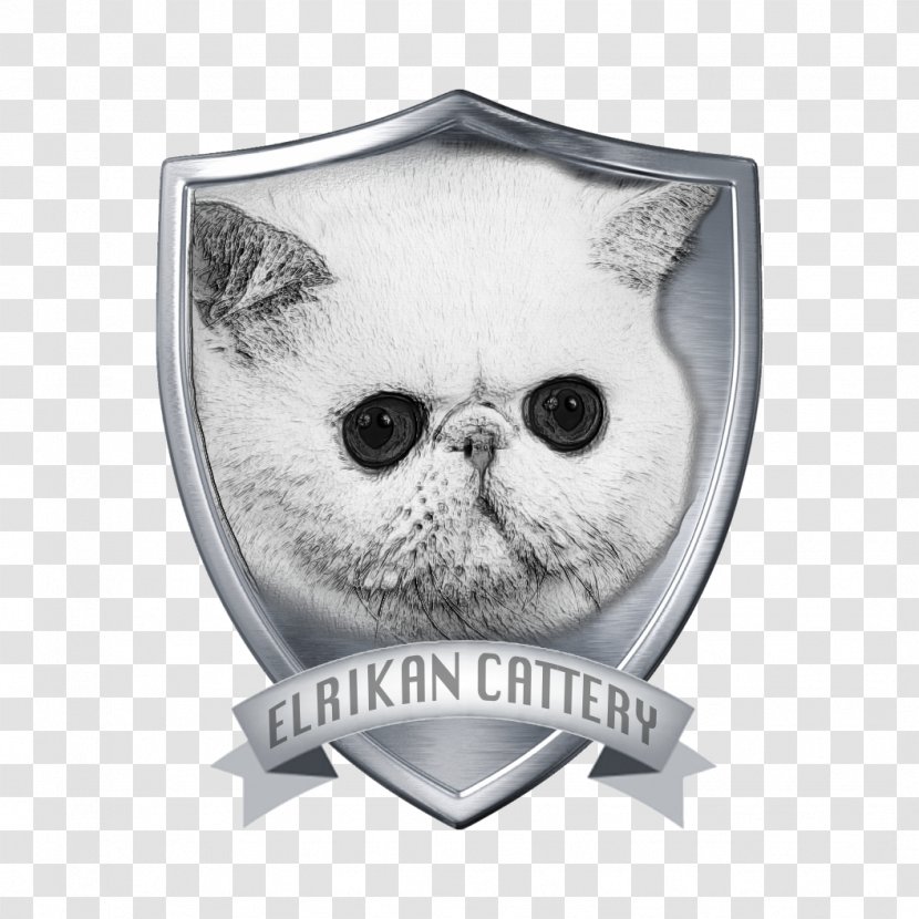 Cattery Whiskers Exotic Shorthair Cat Show Breed - Feline Leukemia Virus - Like Mammal Transparent PNG